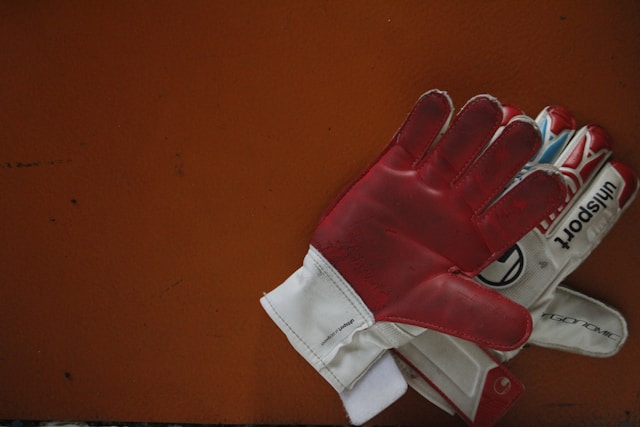 Gloves