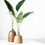 Groen in huis en tuin